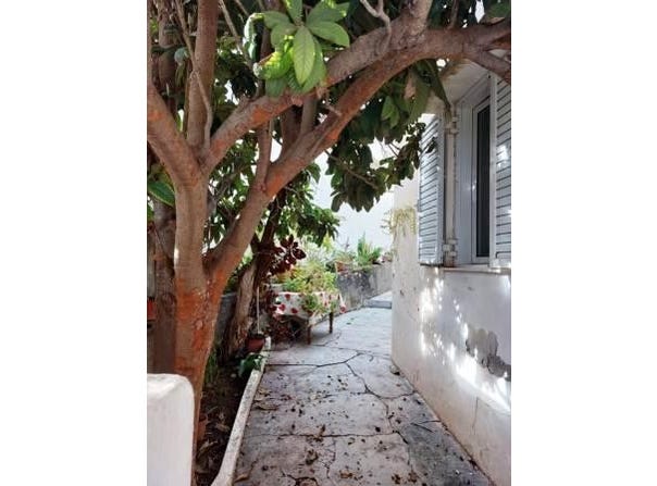 Sitia, Kríti 723 00