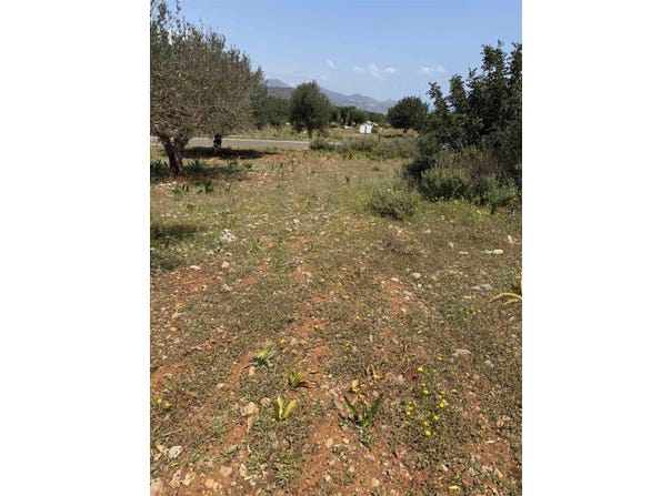 Rousa Limni, Crete 72100