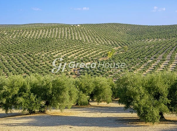 Peloponnese 23200