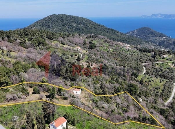 Skopelos, Thessaly 37003