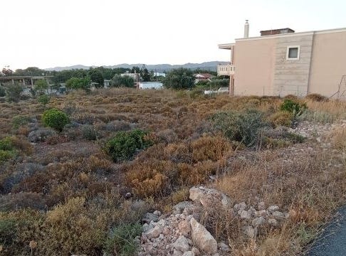 Sternes, Crete