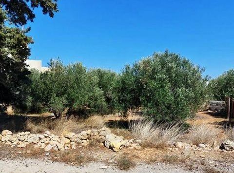 Sitia, Kríti 723 00
