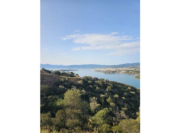 Agios Nikolaos, Lasithi 72100