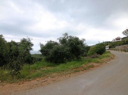 Neapoli, Lasithi Prefecture 72100