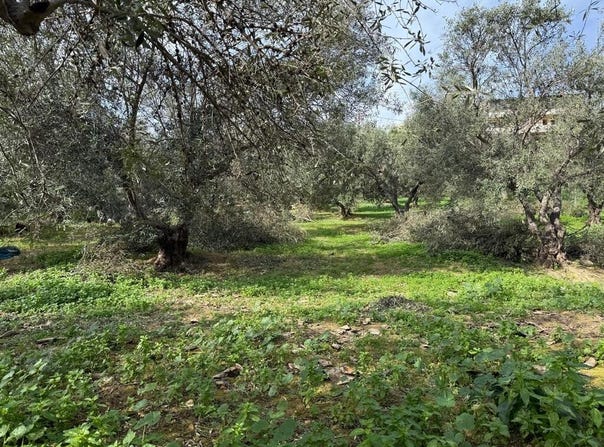 Stalos, Crete 73014