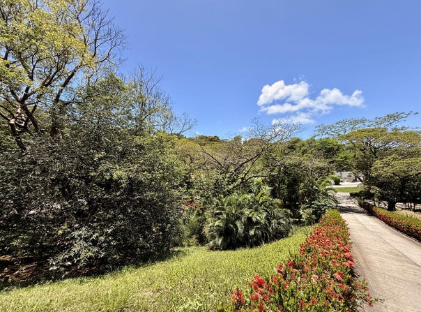 Diamond Rock, Roatan, Islas de la Bahia