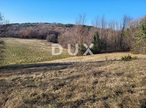 Buzet, Istarska