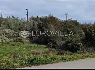 Zadar, Zadarsko-kninska
