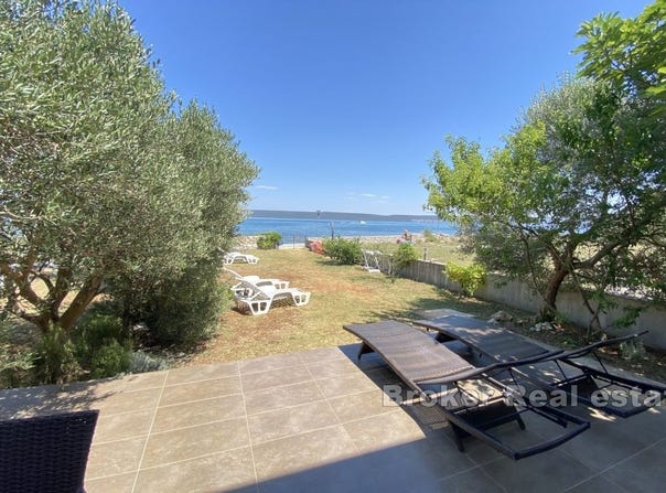 Paman, Zadar