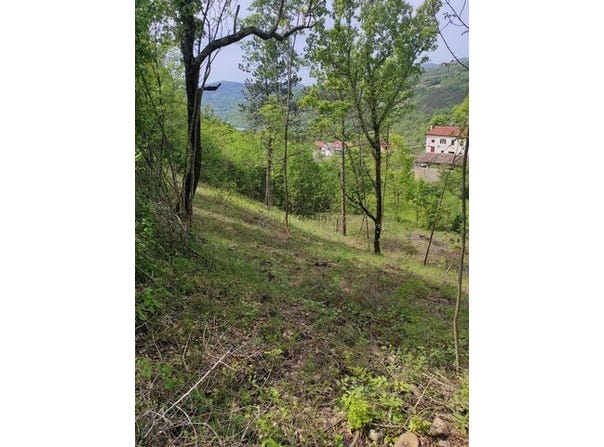Buzet, Istarska