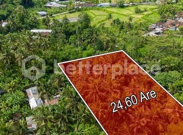 Ubud, Bali