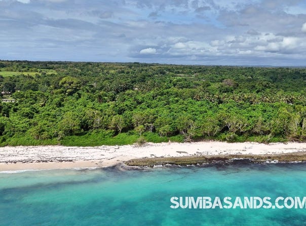 Kodi, Kodi, East Nusa Tenggara