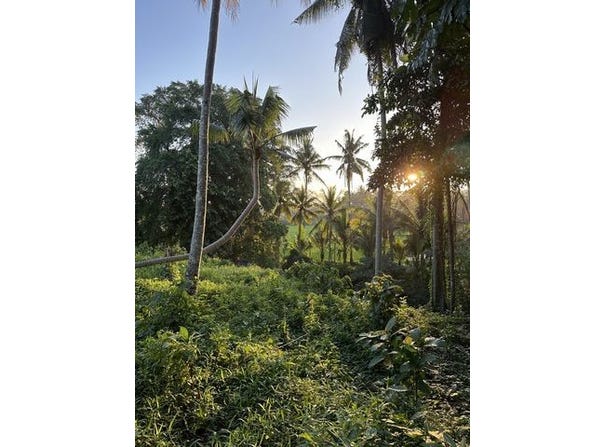 Ubud, Bali