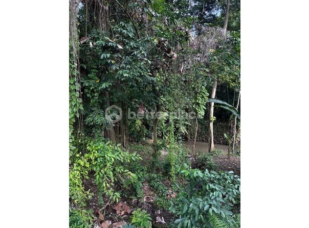 Dalung, Bali