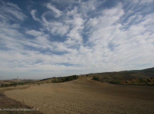 Montalcino, Tuscany 53024