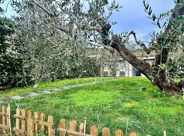 Grosseto, Tuscany 58100