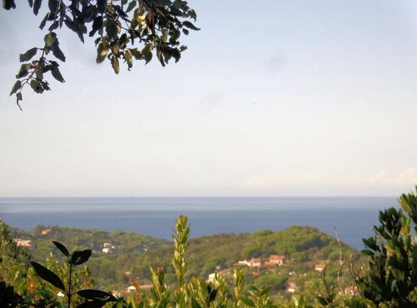 Campo nell'Elba, Tuscany 57034