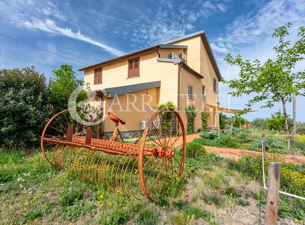 Grosseto, Tuscany 58100
