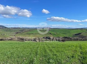Montalcino, Siena