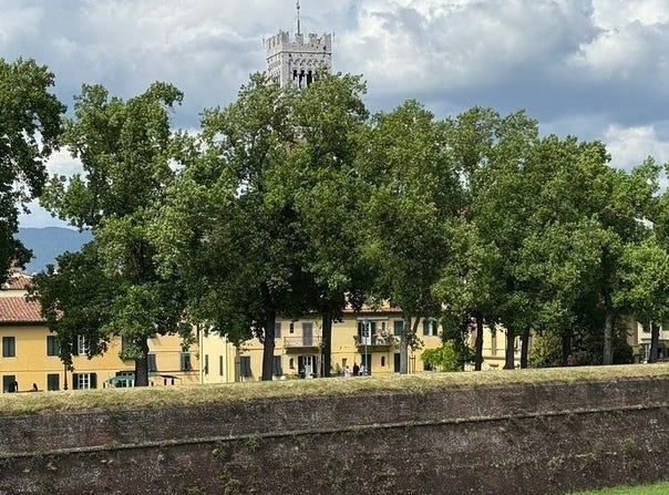 Lucca, Tuscany 55100