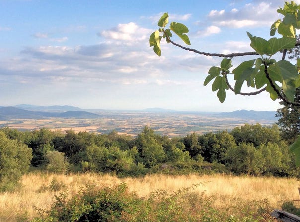 Roccastrada, Tuscany 58036