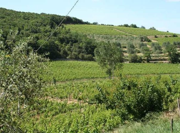 Montalcino, Tuscany 53024