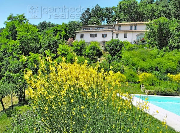 Urbino, Marche 61029