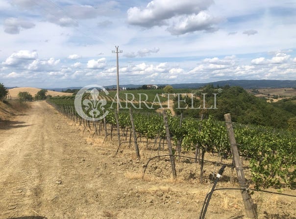 Cinigiano, Tuscany 58044