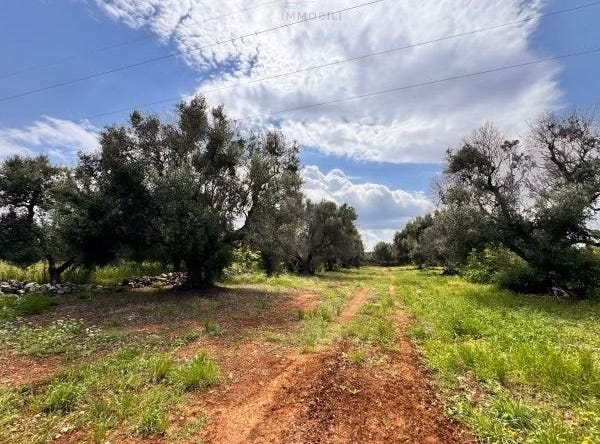Carovigno, Apulia 72012
