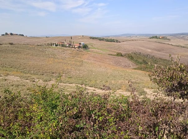Pienza, Tuscany 53026