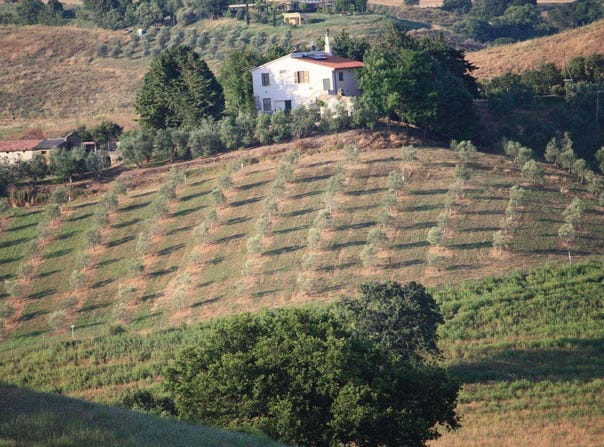 Campagnatico, Tuscany 58042