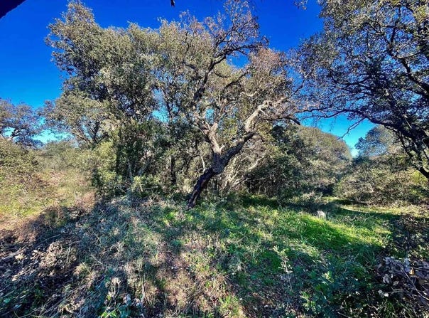 Telti, Sardinia 07020