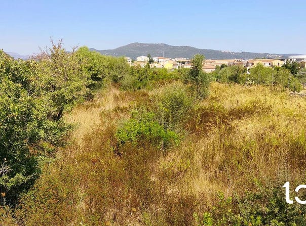 Budoni, Sardinia 08020