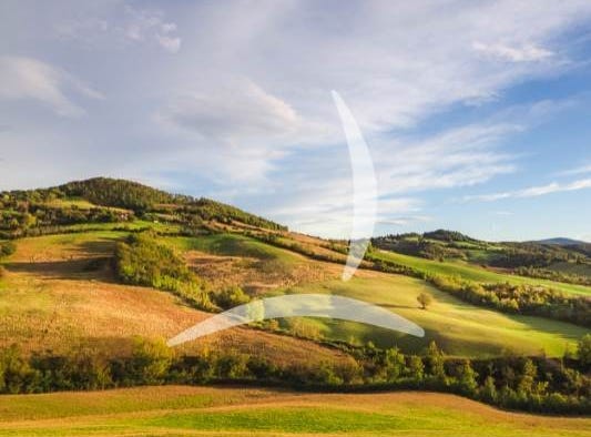 Siena, Tuscany 53100