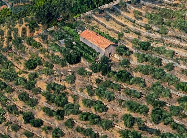 Calci, Tuscany 56011