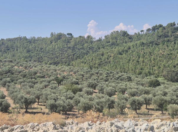 corigliano-rossano, Calabria 87064