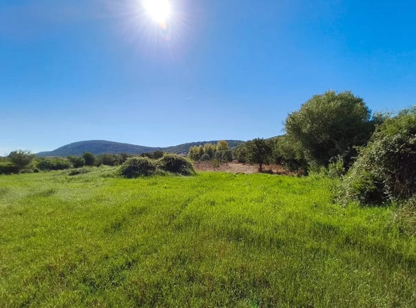 Budoni, Sardinia 08020