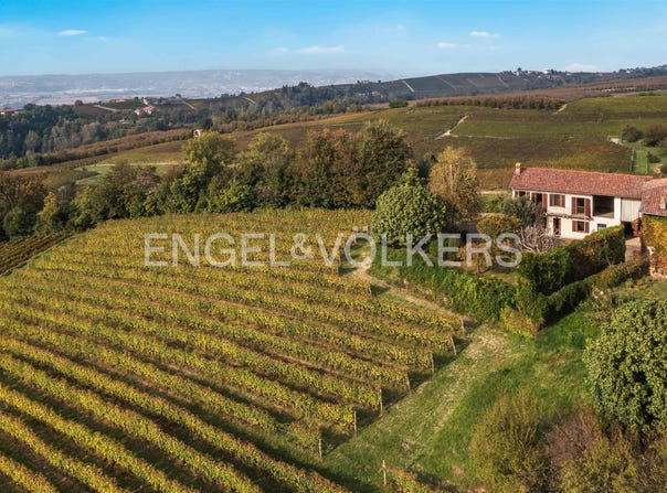 La Morra, The Piedmont 12064