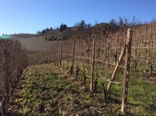 Barolo, The Piedmont 12060