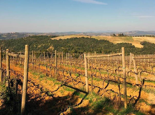 Montalcino, Tuscany 53024