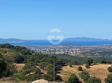 Scansano, Grosseto