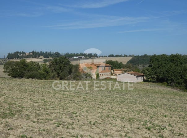 Asciano, Tuscany 53041