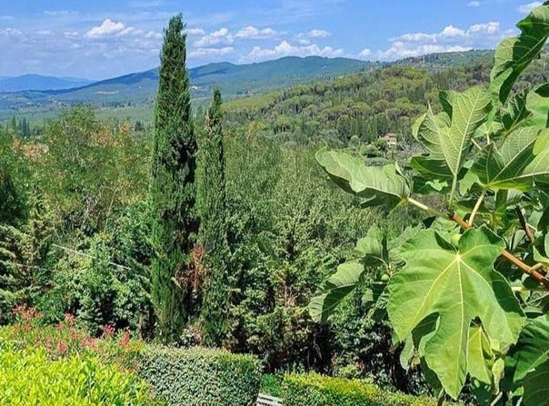 Panzano, Tuscany 50022
