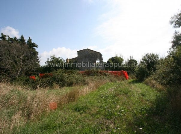 Sarteano, Tuscany 53047