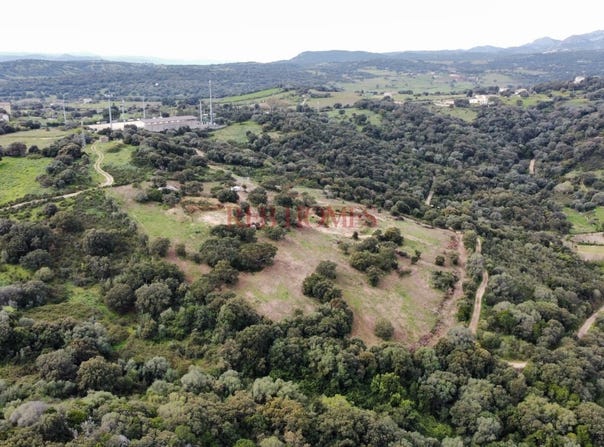 Telti, Sardinia 07020