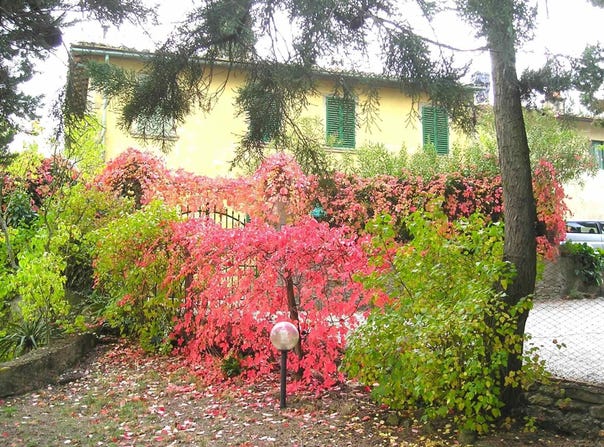 Bucine, Tuscany 52020