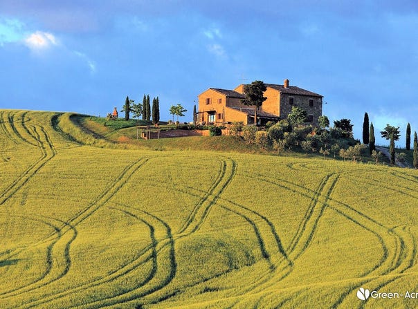 Pienza, Tuscany 53026