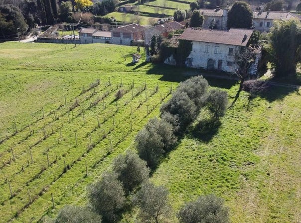 Lucca, Tuscany 55100