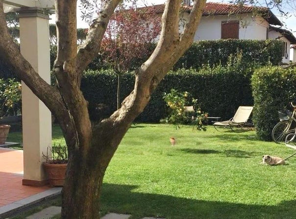 Forte dei Marmi, Tuscany 55042