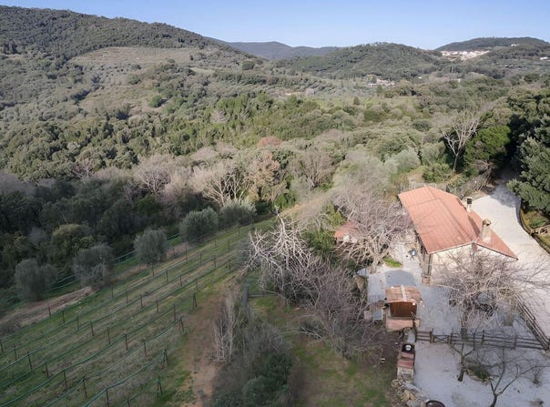 Campiglia Marittima, Tuscany 57021